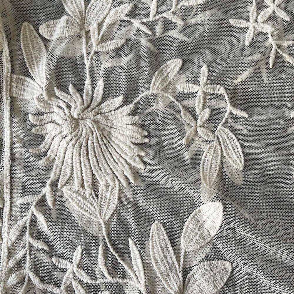 Embroidered Transparent Top - Picture 3 of 6